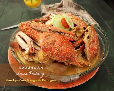resep masakan rajungan saus padang
