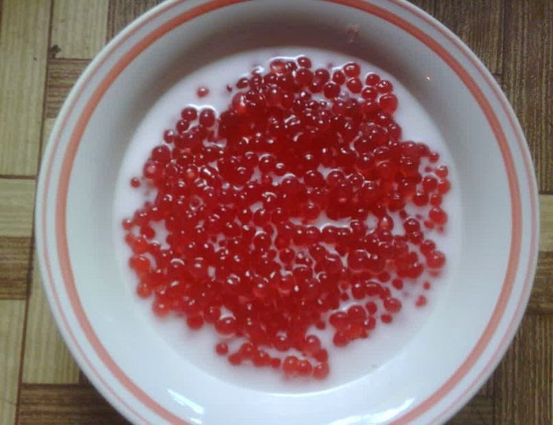 resep bubur sagu mutiara santan enak sederhana resep bubur sagu mutiara santan enak sederhana