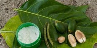 sirih dan pinang tua