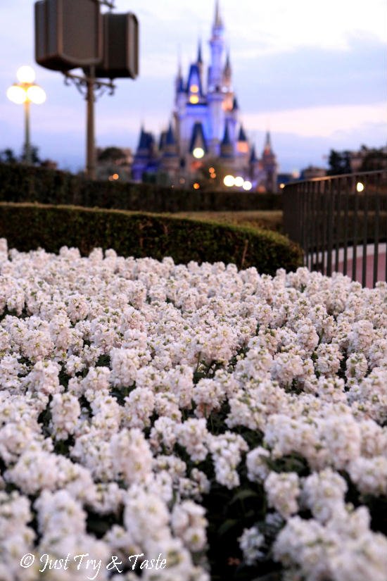 Just Try & Taste di Jepang Just Try & Taste di Jepang